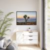 Sunset With Cactus Framed Canvas