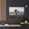 Sunset With Cactus Framed Canvas