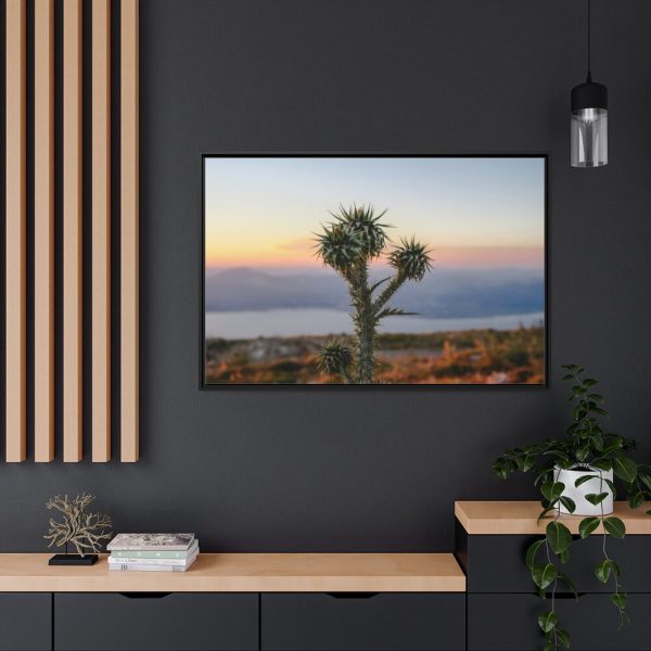 Sunset With Cactus Framed Canvas