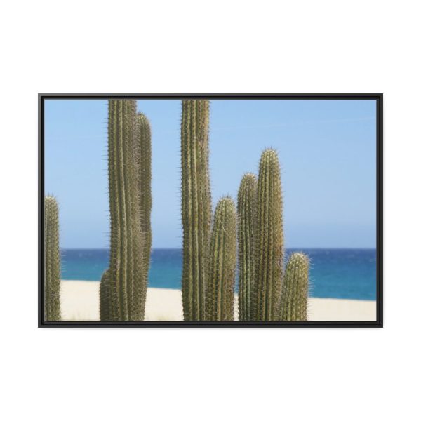 88289-166.jpg Cactus on the Beach Framed Canvas