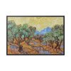 Vincent van Gogh's Olive Trees Framed Canvas