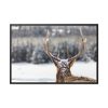 Deer Portrait From Behind Framed Canvas