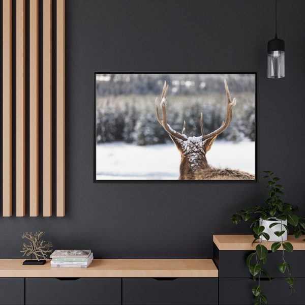 Deer Portrait From Behind Framed Canvas