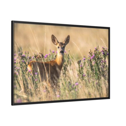 Roe Deer Framed Canvas