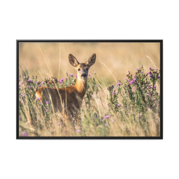 88289-241.jpg Roe Deer Framed Canvas