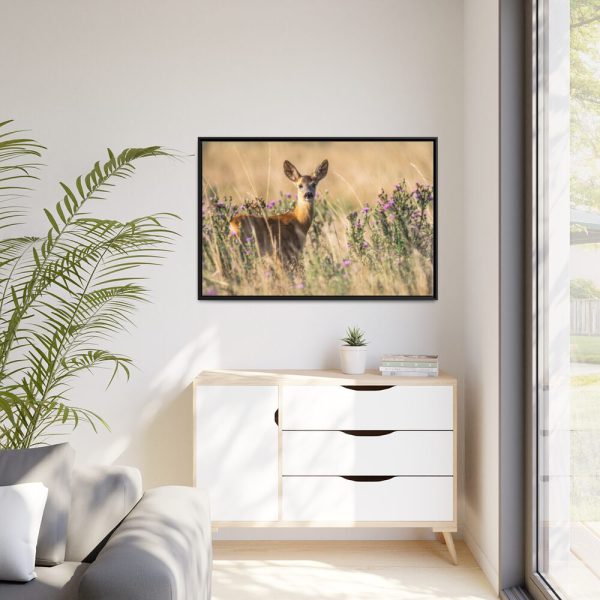 88289-243.jpg Roe Deer Framed Canvas