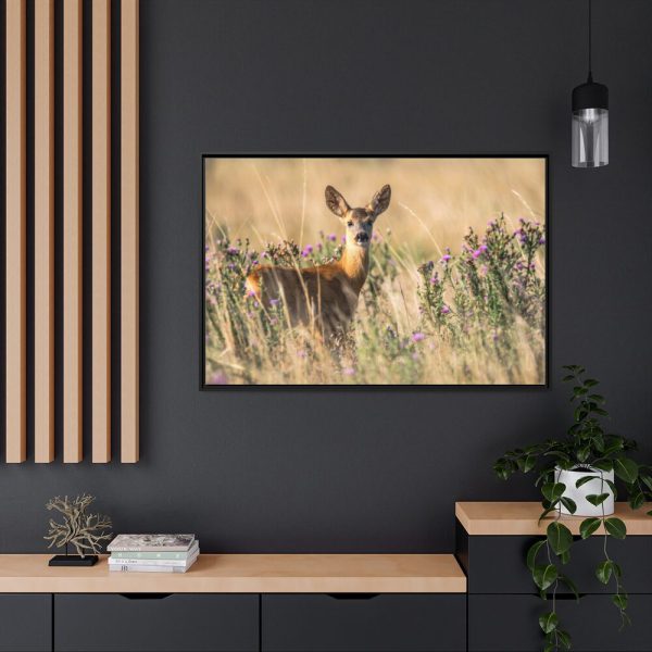 88289-244.jpg Roe Deer Framed Canvas
