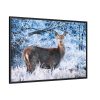 88289-250.jpg Deer In The Forest Framed Canvas