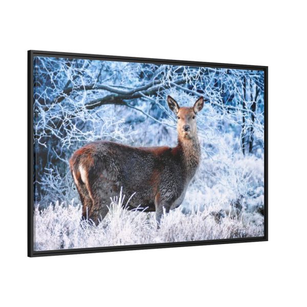 88289-250.jpg Deer In The Forest Framed Canvas
