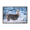 88289-251.jpg Deer In The Forest Framed Canvas