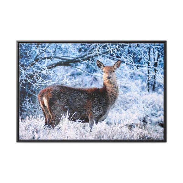 88289-251.jpg Deer In The Forest Framed Canvas