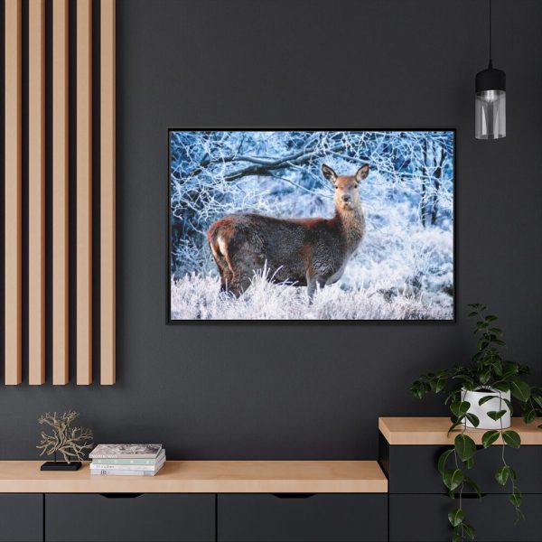 88289-254.jpg Deer In The Forest Framed Canvas