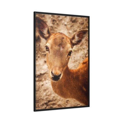 Roe Deer in Nature Framed Canvas