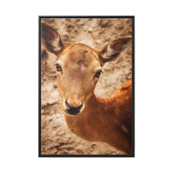 88299-151.jpg Roe Deer in Nature Framed Canvas