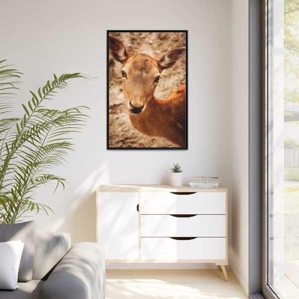 88299-153.jpg Roe Deer in Nature Framed Canvas