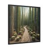 Walkway Meandering Through a Forest of Organ Pipe Cactus Framed Canvas