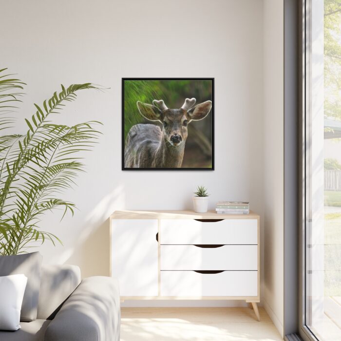 Deer With Small Horns Framed Canvas - Image 4