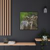 88302-119.jpg Deer With Small Horns Framed Canvas