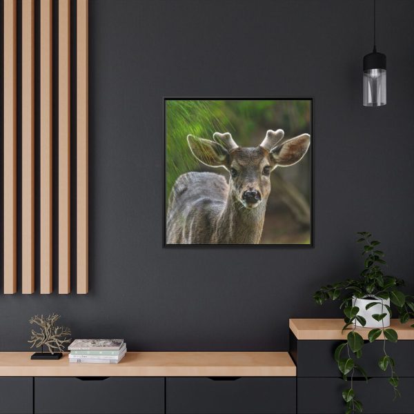88302-119.jpg Deer With Small Horns Framed Canvas
