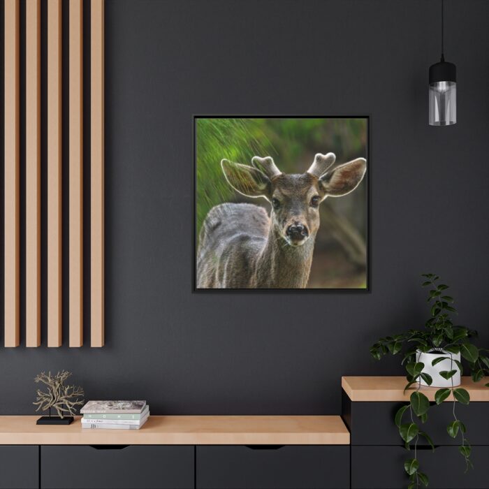 Deer With Small Horns Framed Canvas - Image 5