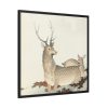 88302-120.jpg Couple of Deers Framed Canvas