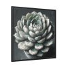 88302-60.jpg Boho Succulent Plant Framed Canvas