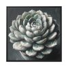 88302-61.jpg Boho Succulent Plant Framed Canvas