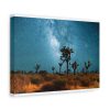 91624-1.jpg Starry Sky Night With Cactus Standard Canvas