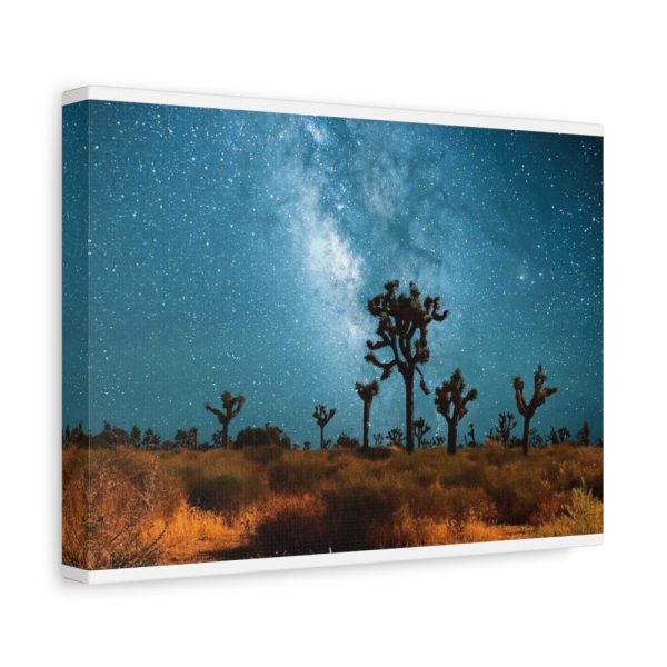 91624-1.jpg Starry Sky Night With Cactus Standard Canvas