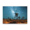 91624.jpg Starry Sky Night With Cactus Standard Canvas