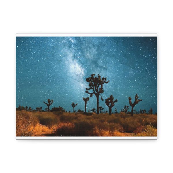 91624.jpg Starry Sky Night With Cactus Standard Canvas