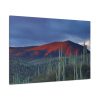 91638-125.jpg Desert With Cactus Standard Canvas