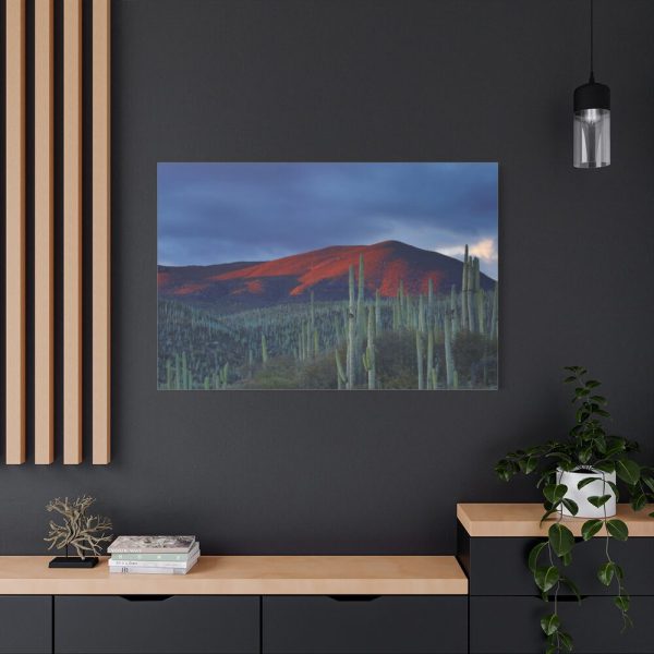 91638-128.jpg Desert With Cactus Standard Canvas