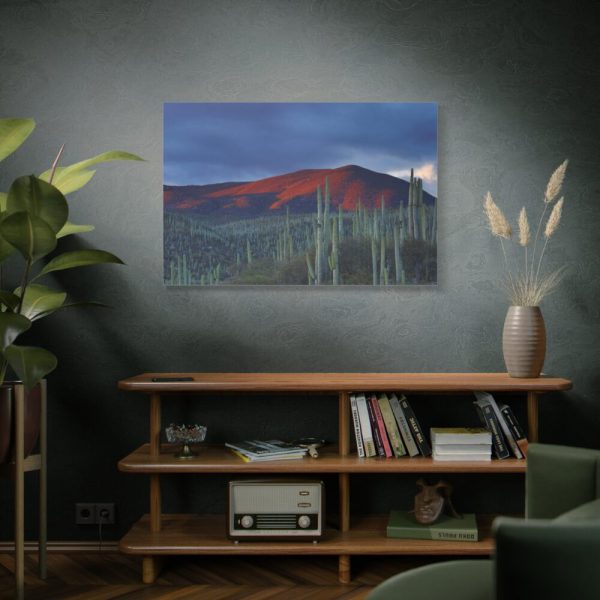 91638-129.jpg Desert With Cactus Standard Canvas