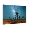91638-130.jpg Starry Sky Night With Cactus Standard Canvas