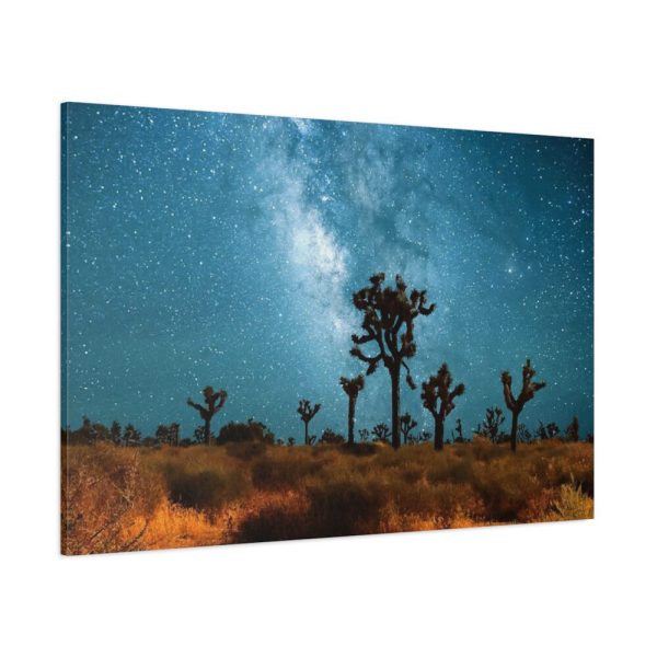 91638-130.jpg Starry Sky Night With Cactus Standard Canvas