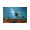 91638-131.jpg Starry Sky Night With Cactus Standard Canvas