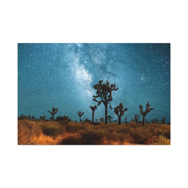 91638-131.jpg Starry Sky Night With Cactus Standard Canvas