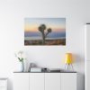Sunset With Cactus Standard Canvas