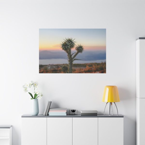 Sunset With Cactus Standard Canvas