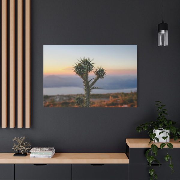 Sunset With Cactus Standard Canvas
