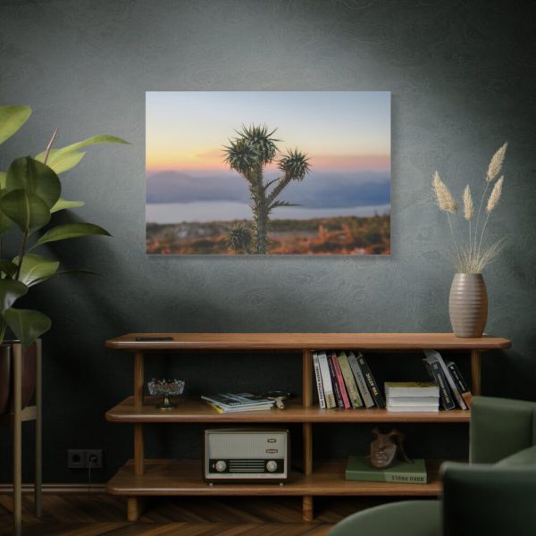 Sunset With Cactus Standard Canvas