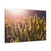 91638-140.jpg Landscape of Cactus Standard Canvas