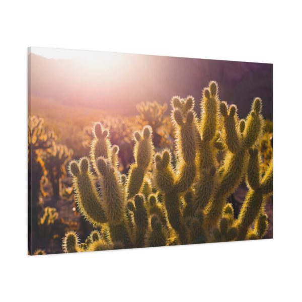 91638-140.jpg Landscape of Cactus Standard Canvas