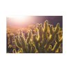 91638-141.jpg Landscape of Cactus Standard Canvas