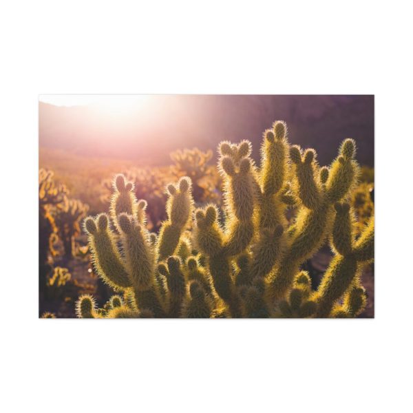 91638-141.jpg Landscape of Cactus Standard Canvas