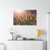 91638-142.jpg Landscape of Cactus Standard Canvas