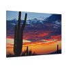 91638-145.jpg Cactus Sunrise Desert Standard Canvas