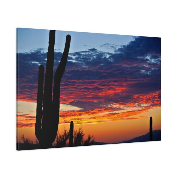 91638-145.jpg Cactus Sunrise Desert Standard Canvas