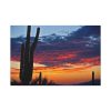 91638-146.jpg Cactus Sunrise Desert Standard Canvas
